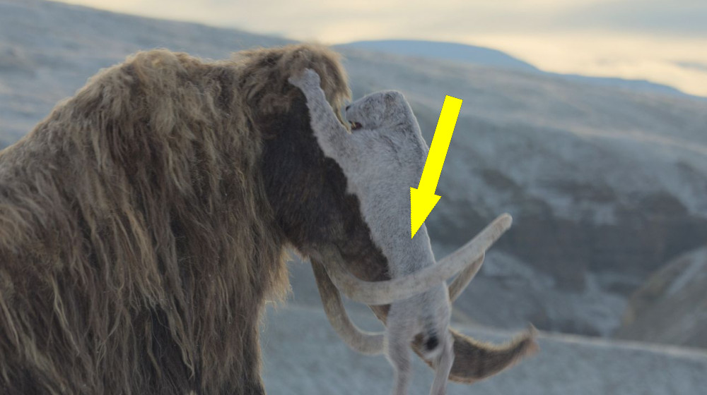 Мамонты против саблезубых кошек именно так они выжили в ледяной эпохе