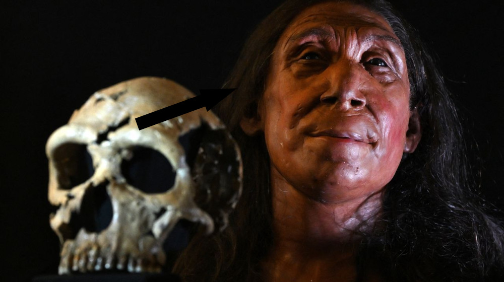 ВЕРИЛИ ЛИ НЕАНДЕРТАЛИ В ЧУДЕСА И СВЯТЫЕ ИДЕИ