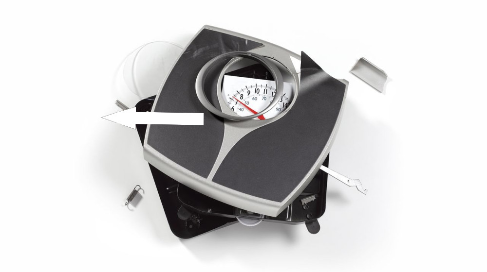  Has America's obesity rate plateaued? 