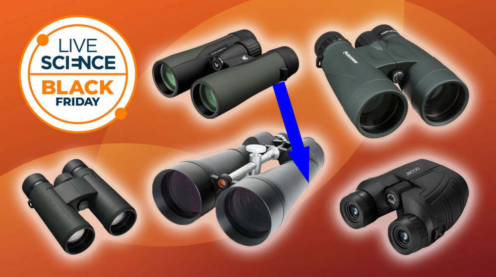 Черная пятница открывает невероятные скидки на БИНОКЛИ!