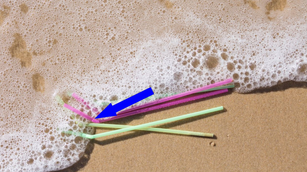  Are biodegradable plastics really worth the hype? 