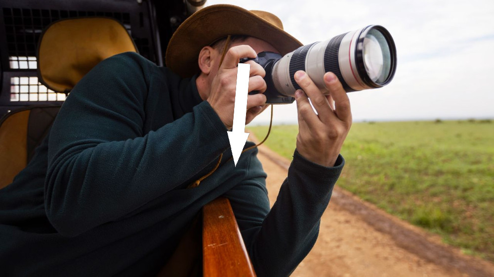  Best beginner cameras for wildlife photography 2025: Nature photography for newbies 