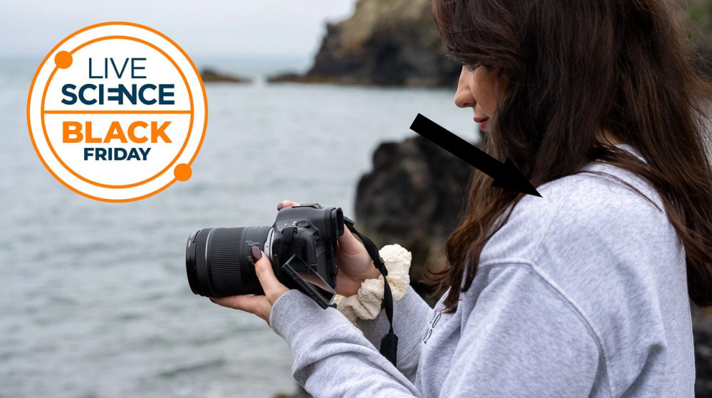  Great news for wildlife photographers, the "powerhouse" Canon EOS R5 II is cheaper for Black Friday 