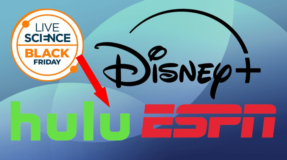 Битва за пульт: как Disney+, Hulu и ESPN меняют стриминг-рынок к праздникам