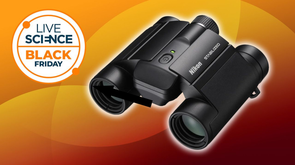 Эти компактные стабилизированные бинокли — лучший выбор для любителей природы и астрономов