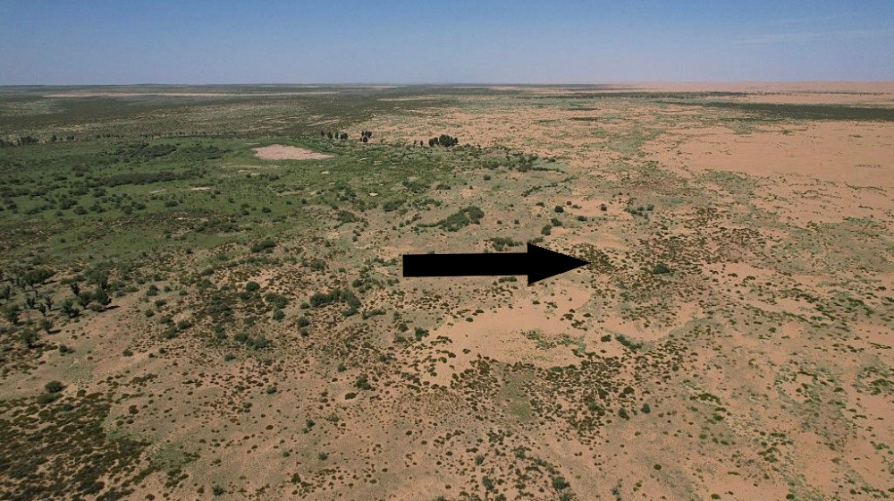  China has planted so many trees it's changed the entire country's water distribution 