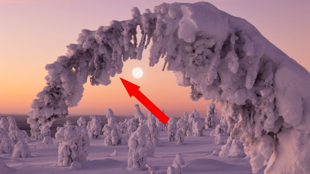 Когда наступит зима в 2025 году: научное объяснение и интересные факты