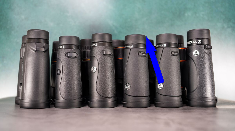 Celestron Showdown Победитель среди десятокроссовых биноклей