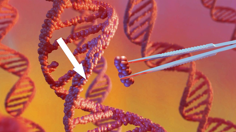 Медицина 2026 года: прорывы в генной терапии и борьбе с эпидемиями