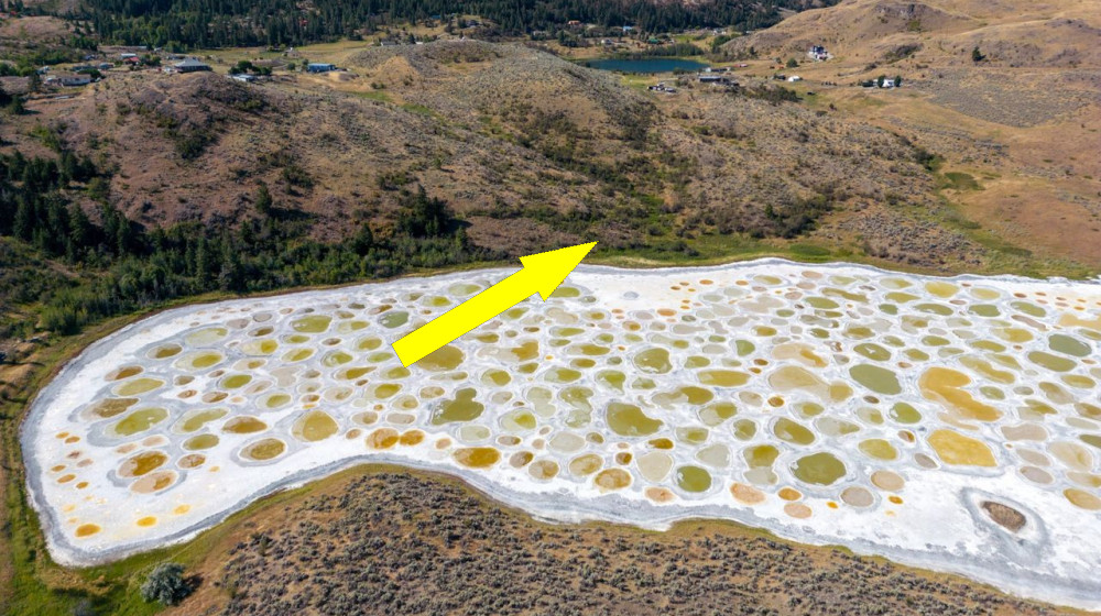  Spotted Lake: Canada's soda lake with colorful brine pools that are smelly and slimy 'like the white of an egg' 