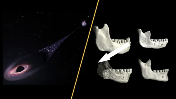 Горячие научные открытия недели: убегающая чёрная дыра, древний человек в касабланской пещере и сокращение прививочного графика
