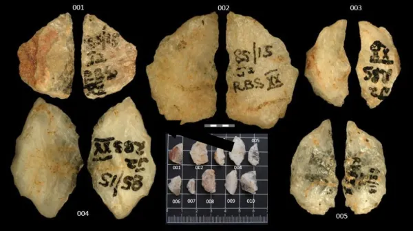 Древние ядовитые стрелы из Южной Африки — самые старые в мире оружия с ядами