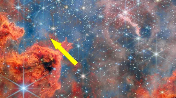  James Webb telescope spots 'failed stars' in a breathtaking cluster near Earth — Space photo of the week 