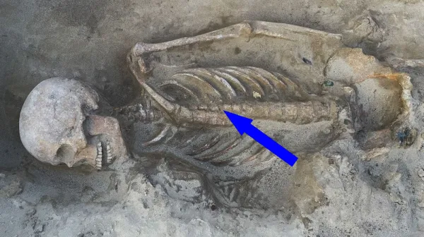  1,100-year-old burials of elite warriors and their ornate weapons discovered in Hungary 