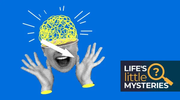 50 УДИВИТЕЛЬНЫХ ФАКТОВ О НАШЕМ ВЕЛИКОЛЕПНОМ МИРЕ КОТОРЫЕ ВЗОРВУТ ВАШЕ МЫШЛЕНИЕ