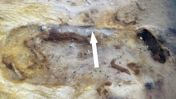  Eerie 'sand burials' of elite Anglo-Saxons and their 'sacrificed' horse discovered near UK nuclear power plant 