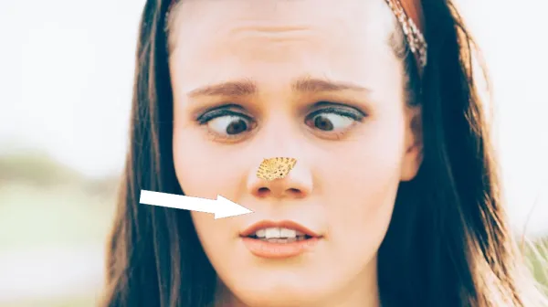  Why don't you usually see your nose? 