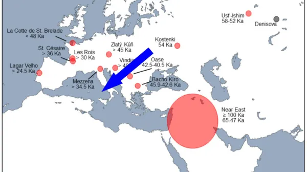 Биологические временные капсулы из пещерного грунта раскрывают тайны древних людей и неандертальцев