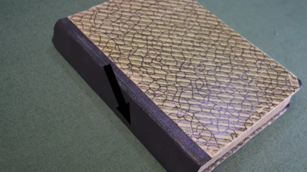 Самая древняя книга Норвегии обнаружена: уникальный средневековый песенник из меха тюленя