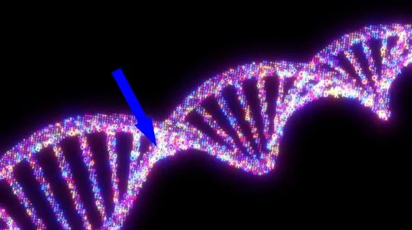  New 'DNA cassette tape' can store up to 1.5 million times more data than a smartphone — and the data can last 20,000 years if frozen 