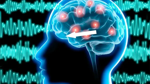 Почему мозг отключается когда вы устали и что скрывается за этим процессом