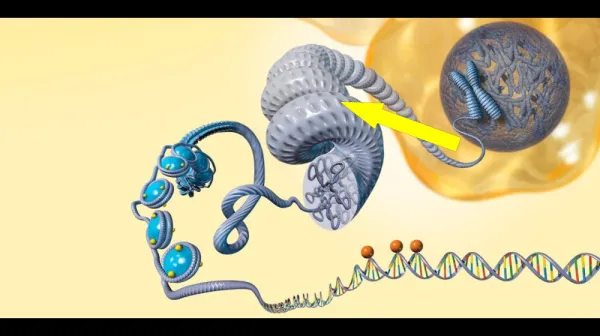  5 genetic 'signatures' underpin a range of psychiatric conditions 