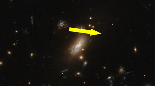  Oddball 'platypus galaxies' spotted by James Webb telescope may challenge our understanding of galaxy formation 