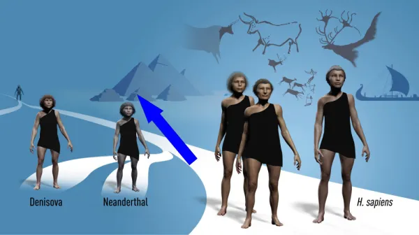 Уникальный ген, отличающий человека от неандертальца, может раскрыть тайны исчезновения древних видов