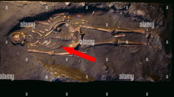 Раскопки в шведском болоте: открытие, меняющее представление о древних ритуалах