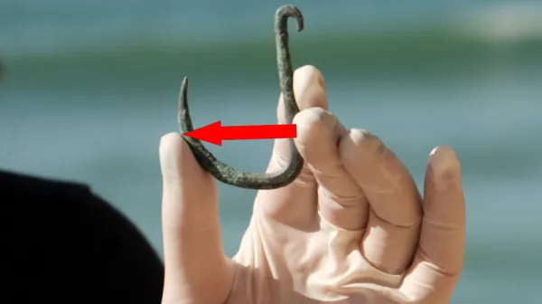  Some of the oldest harpoons ever found reveal Indigenous people in Brazil were hunting whales 5,000 years ago 