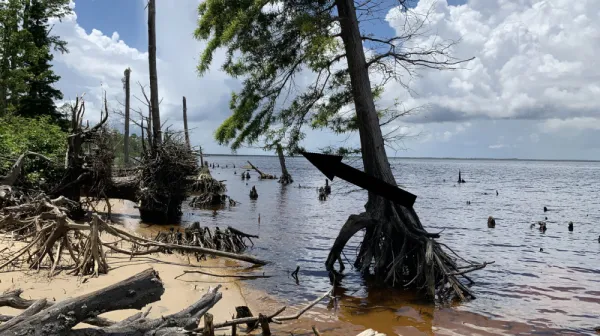  Parts of Arizona are being sucked dry, with areas of land sinking 6 inches per year, satellite data reveals  