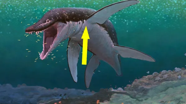 Удивительный Юрский монстр из Германии обнаружен как новый вид, шокирующий научный мир