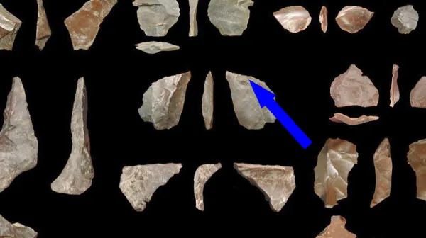  430,000-year-old wooden handheld tools from Greece are the oldest on record — and they predate modern humans 