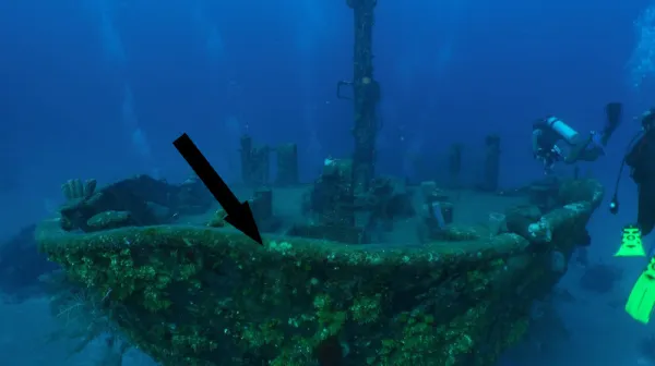 Обнаружение сокровищ: более 1000 монет со затонувшего корабля 1715 года вызвало сенсацию среди ученых и коллекционеров