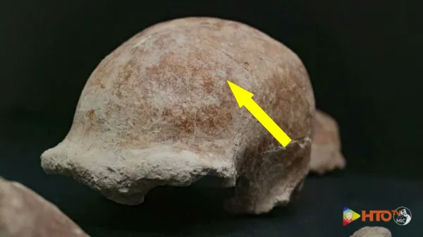 Таинственные отпечатки древних римлян раскрывают неизвестные методы подготовки тел к похоронам