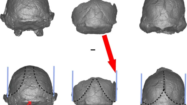Таинственный ископаемый следок из Эфиопии меняет все представления о человеческой эволюции