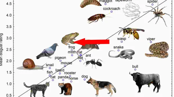 Невероятное поведение волков впервые зафиксировано на камеру — знак новой эры в их интеллектуальных способностях