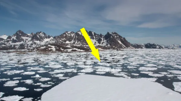 Когда Ель-Ниньо разрушил ледяной покров Арктики