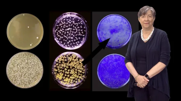 Головоломка диагностики: угадайте диагноз в этих странных медицинских случаях