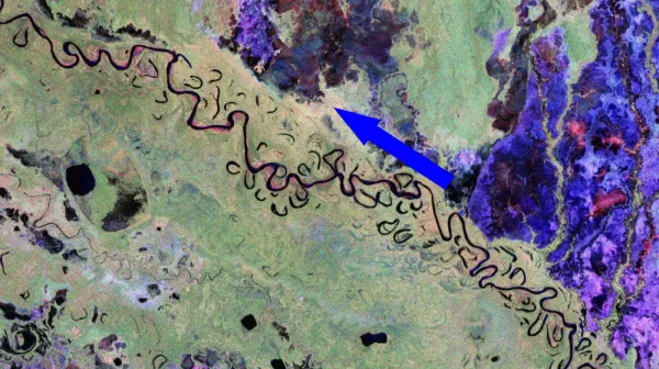  Trippy 'biomass' snap reveals first detailed look at our planet's carbon stores — Earth from space 