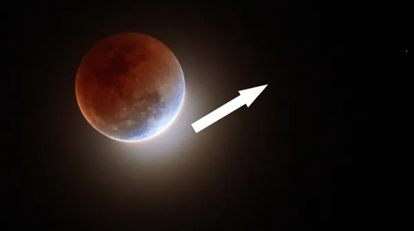  The US will see a rare 'blood moon' eclipse before sunrise this March: Where and when to look 