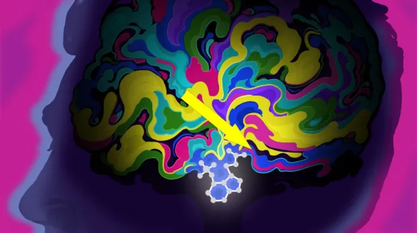  Psychedelics may rewire the brain to treat PTSD. Scientists are finally beginning to understand how. 