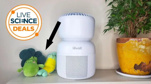 Лучший детский очиститель воздуха по цене ниже всех. Не упустите выгодное предложение