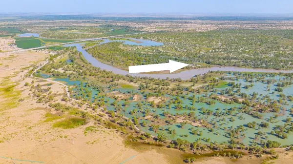 КИТАЙ НАКОРМИЛА ТАЙГИ КОРОЛЁВСТВОМ ДЕРЕВЬЕВ И ПРЕВРАТИЛА ПУСТЫНЮ В МАГНИТ ТОРФЯНЫХ ГАЗОВ