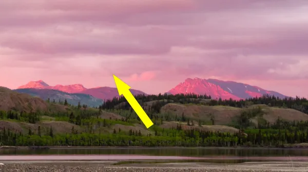  Canada could remove 5 times its annual carbon emissions by planting trees on edge of boreal forest, study finds 