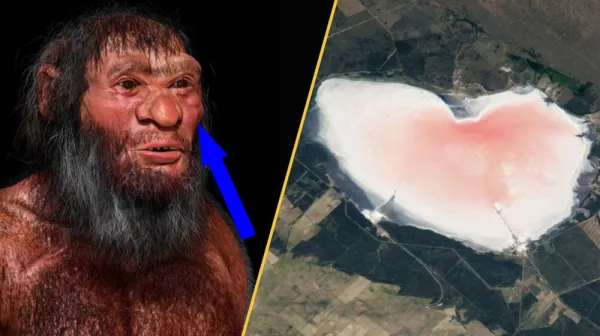 Китай превращает пустыню в экологический магнетизм