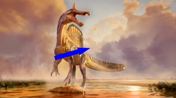 Древний Монстр из Сахары с клиновидной головой и охота как у «Адского цапли»