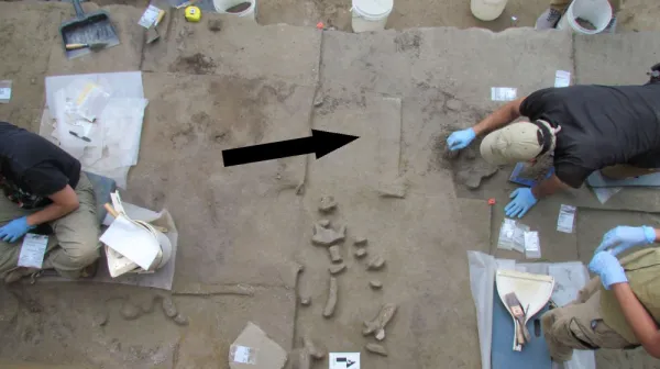 Раскопки в Аляске раскрывают загадку древних переселенцев из Нового Света