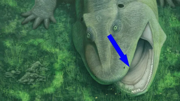 Древний аномалия водных глубин с боковыми зубами и искривлённой челюстью существовала еще 275 миллионов лет назад