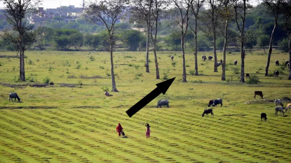 КАРТИНА АГРОПРОМышленности ВРЕМЕН БУДУЩЕГО: НАСКОЛЬКО МЫ ГЛУБОКО ВПЛОТИЛИСЬ В ПРИРОДУ? 